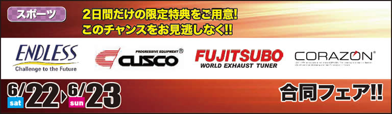 2019060301